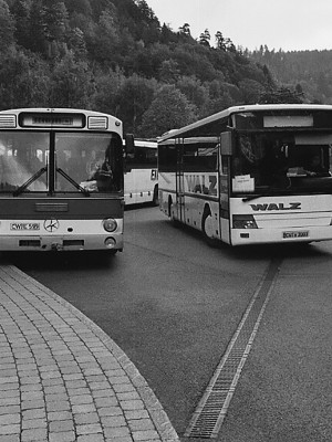 Škola Reuchlin, Bad Liebenzell, DE, 1998